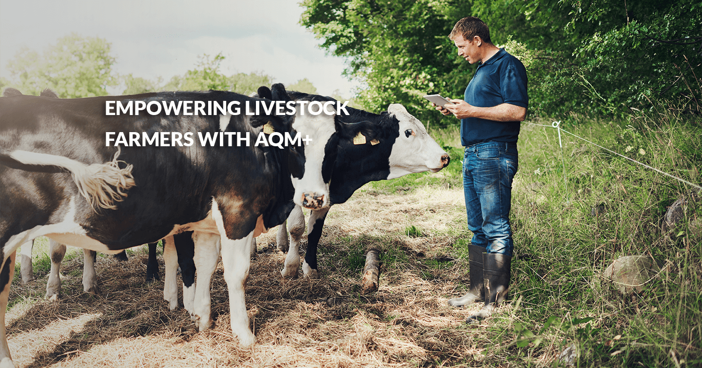 Empowering livestock farmers with AQM+