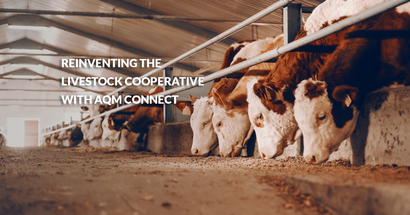 Reinventing the livestock cooperative with AQM Connect