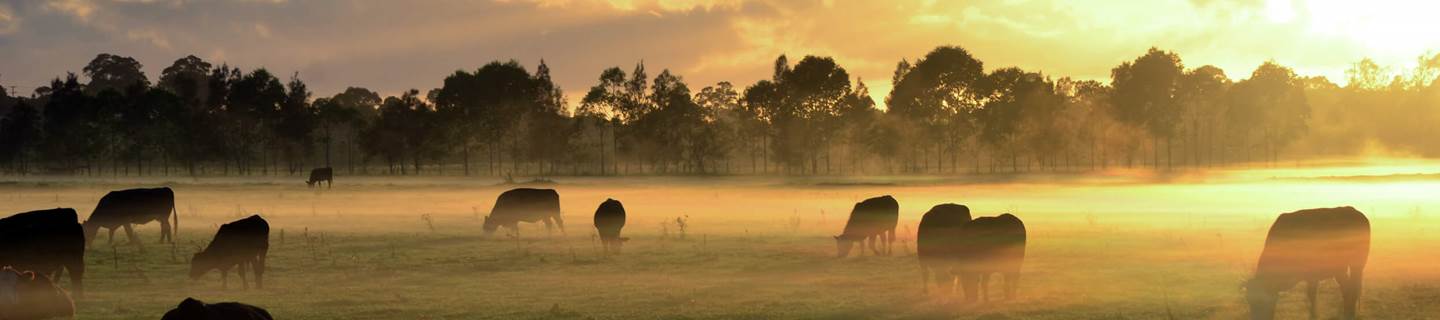 How Smart Farm Security can help you